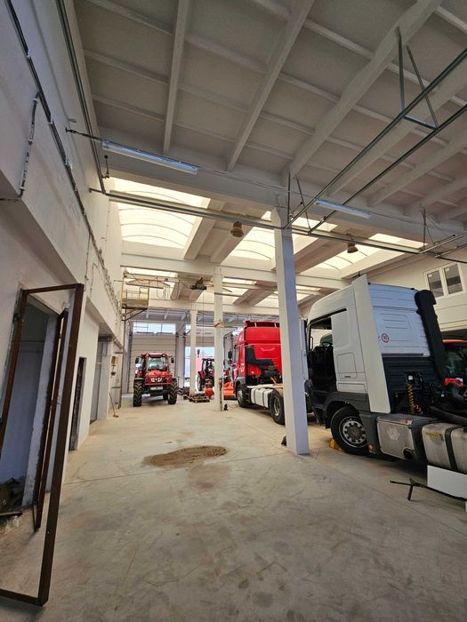 Obiekt: hala, magazyn, biura - Chmielów - 1980 m² + utwardzony teren