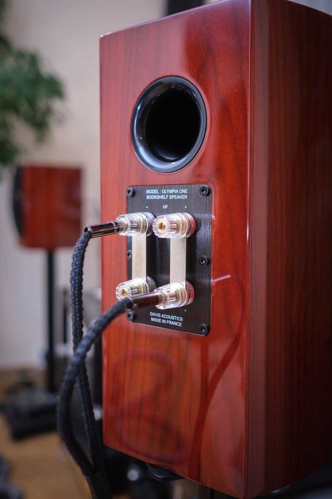 Kolumny podstawkowe Davis Acoustics Olympia One. SUPER STAN! Unikalne!