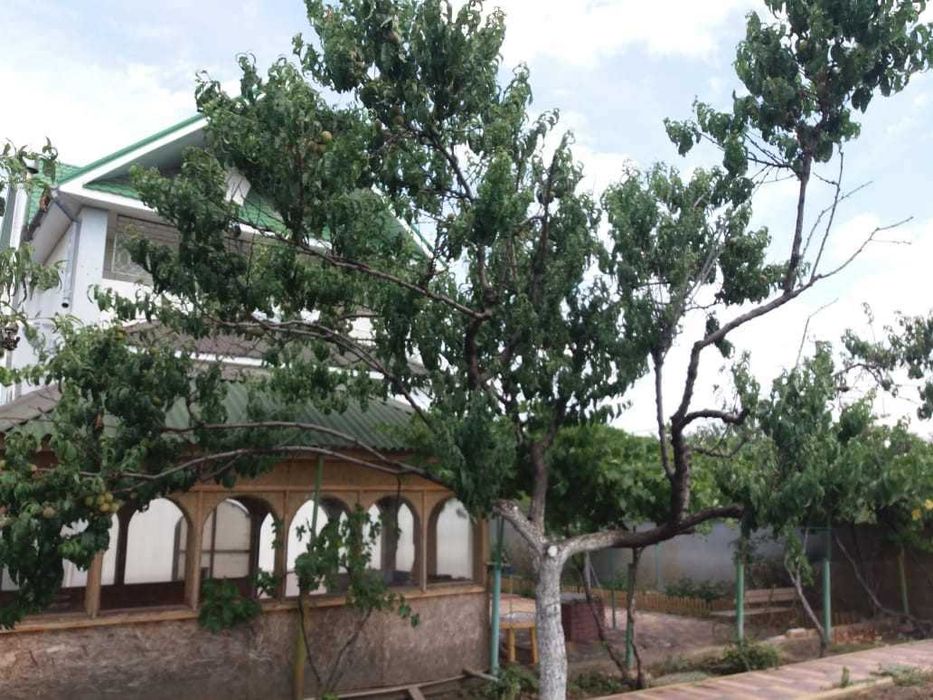 Продам дом в Вапнярке. Дача.