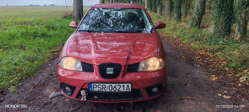 Seat ibiza 1.9 tdi