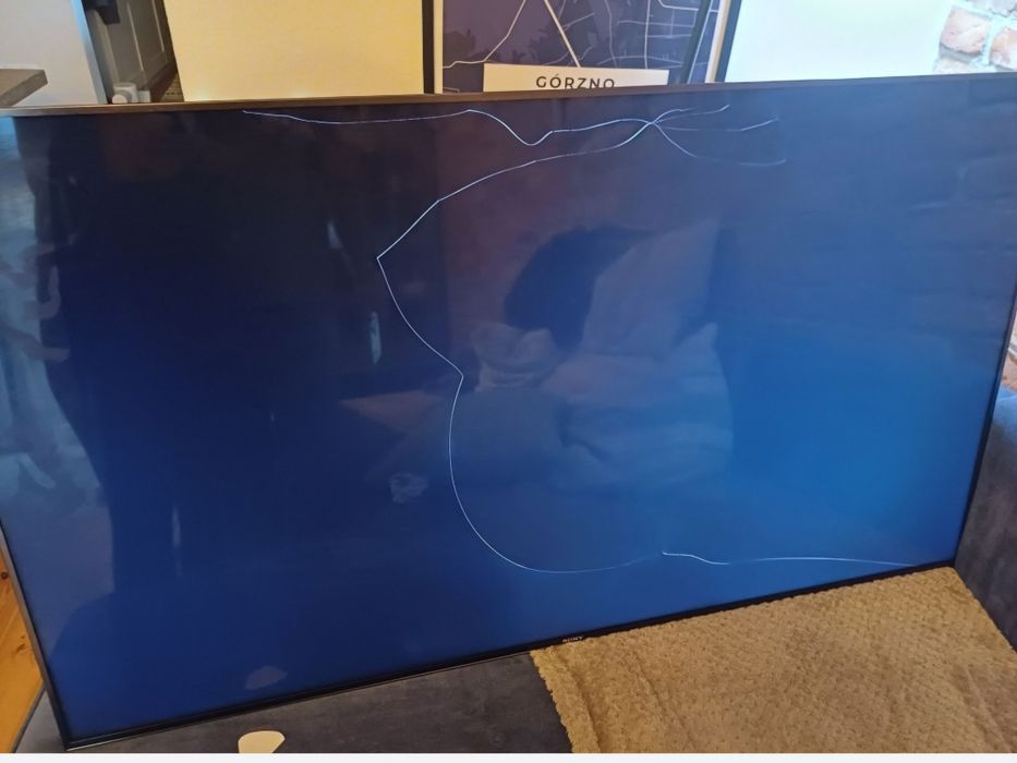 Telewizor Sony 55 cali z uszkodzona matryca