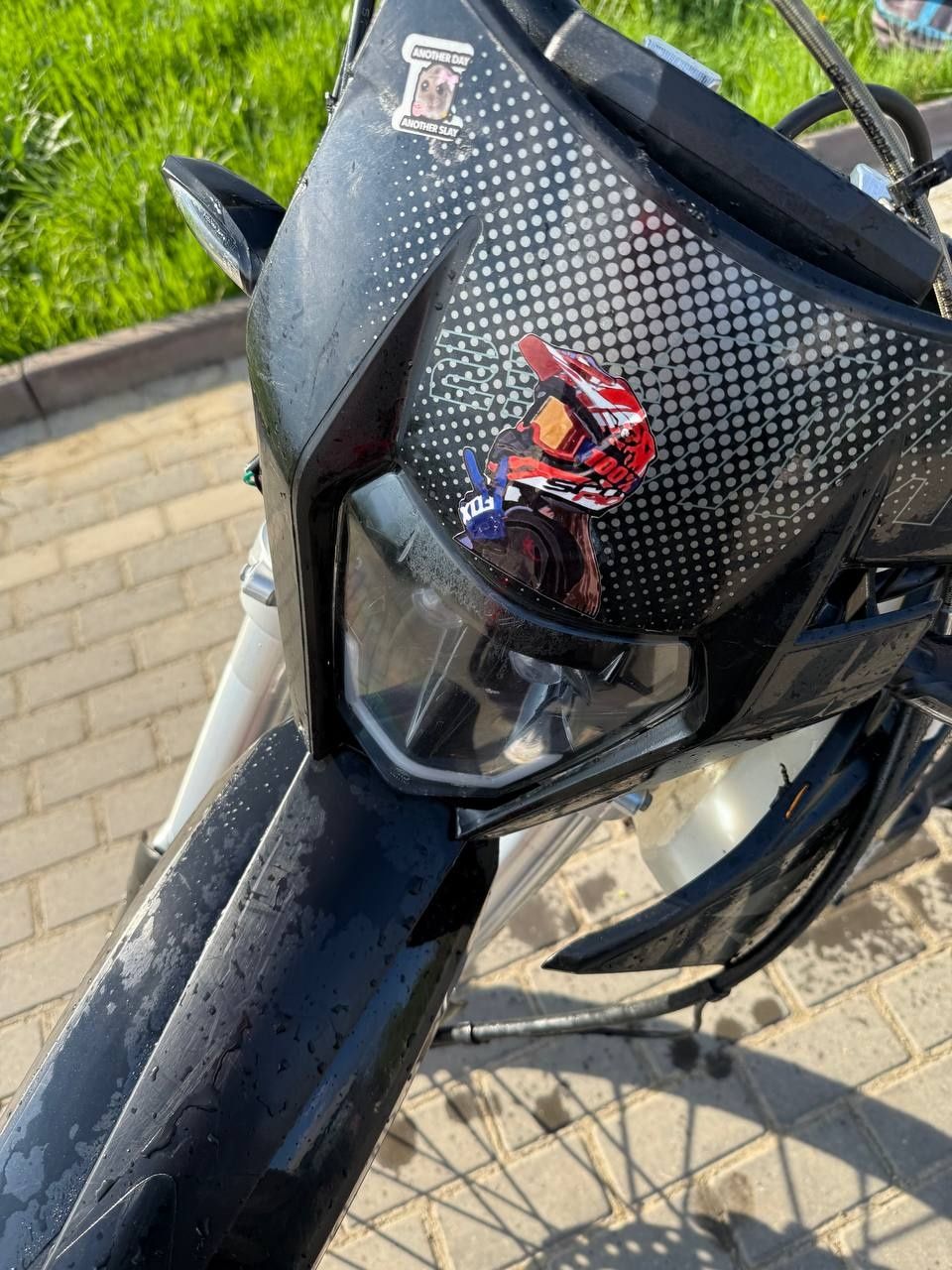 Kovi jnr 250 2023