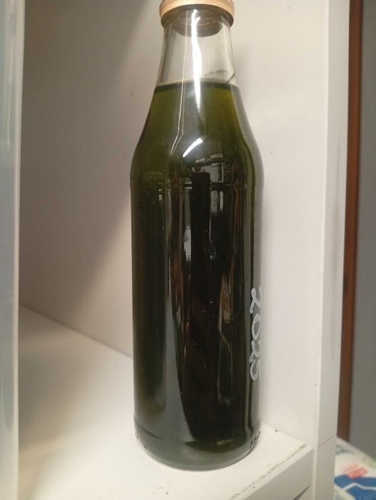 Intensywnie Zielona Orzechówka  2025