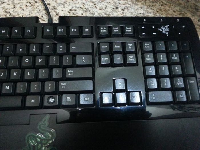 Teclado Raizer Arctosa