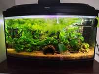 Akwarium 112 L panoramiczne