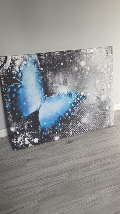 Duży obraz z motylkiem niebieskim