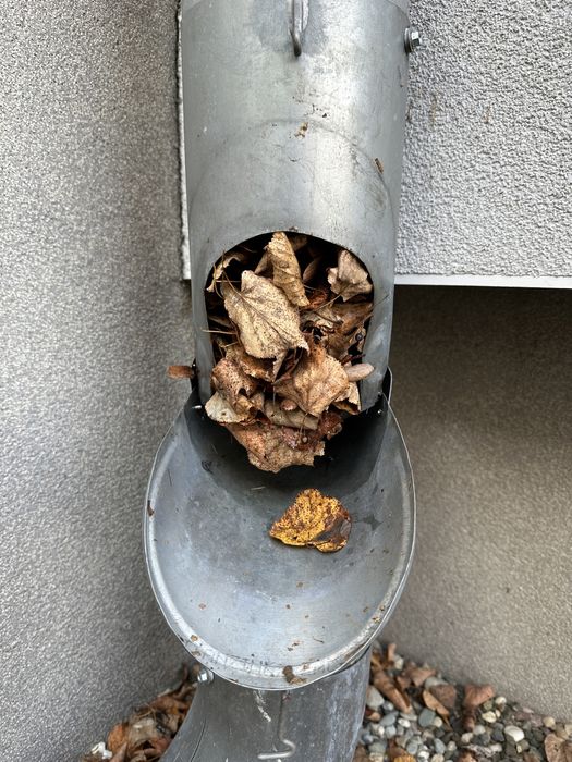 RYNNY - czyszczenie, udrażnianie rynien, szybka realizacja