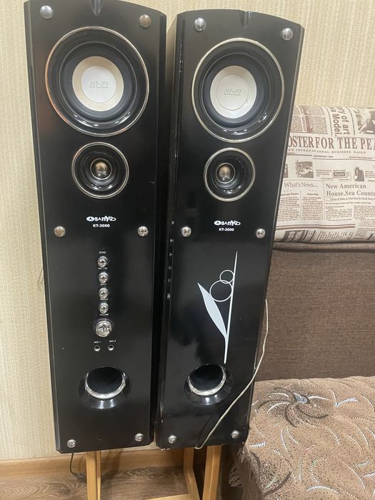 колонки Sanyoo KT-3000