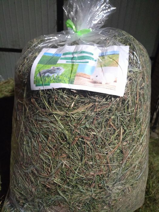 Sianko siano dla królików gryzoni