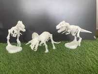 Dinossauros Esqueletos