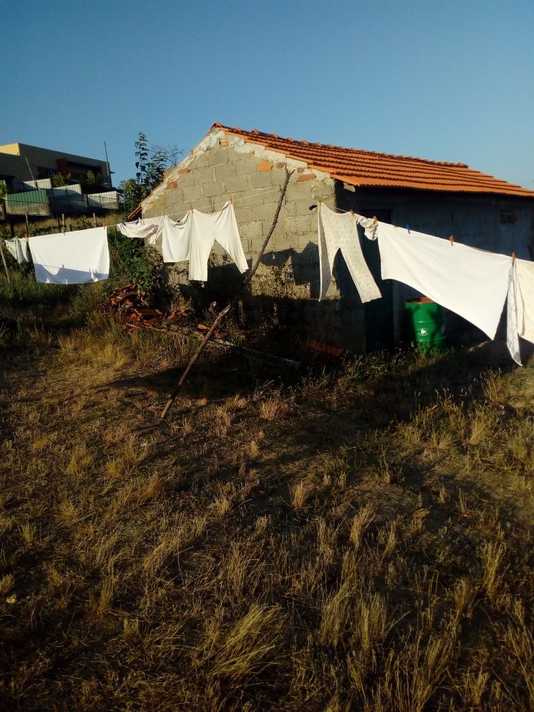 Pequena quinta t3 com 5000m2 de terreno