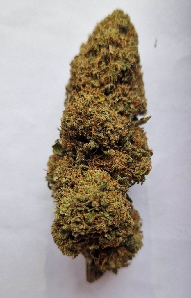 Lemon Haze susz CBD produkt premium 30 gram