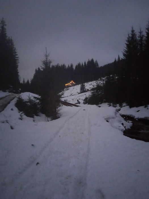 Будинок Ніч в Карпатах