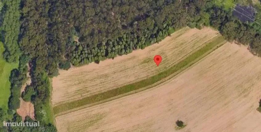 Terreno Agrícola em Ílhavo com Vista Campestre