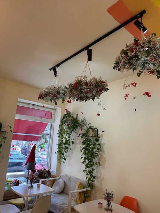 Діюча Кавʼярня в центрі Ужгорода — бізнес під ключ.