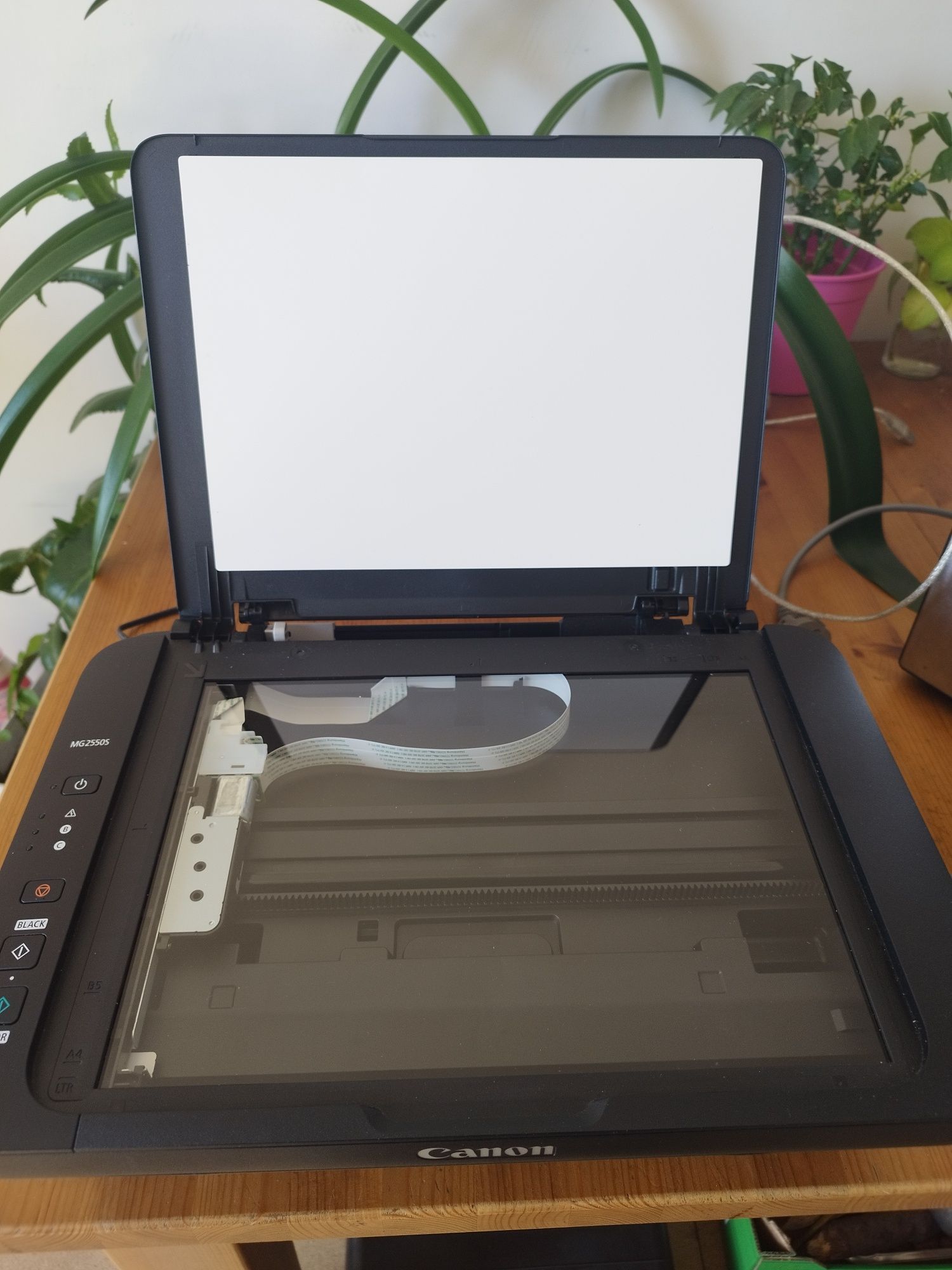 Drukarka Canon MG2550S
