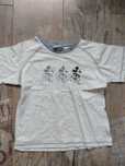 T-shirt krótki rękaw Myszka Mickey 116