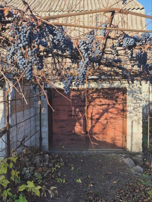 Продаж дачі в місті