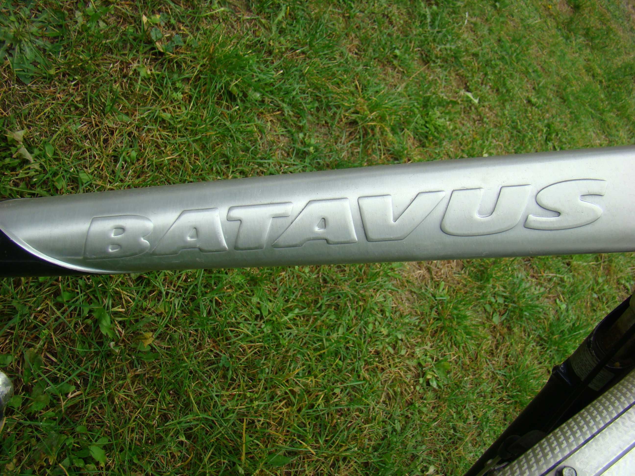 Rower   Batavus   Virente