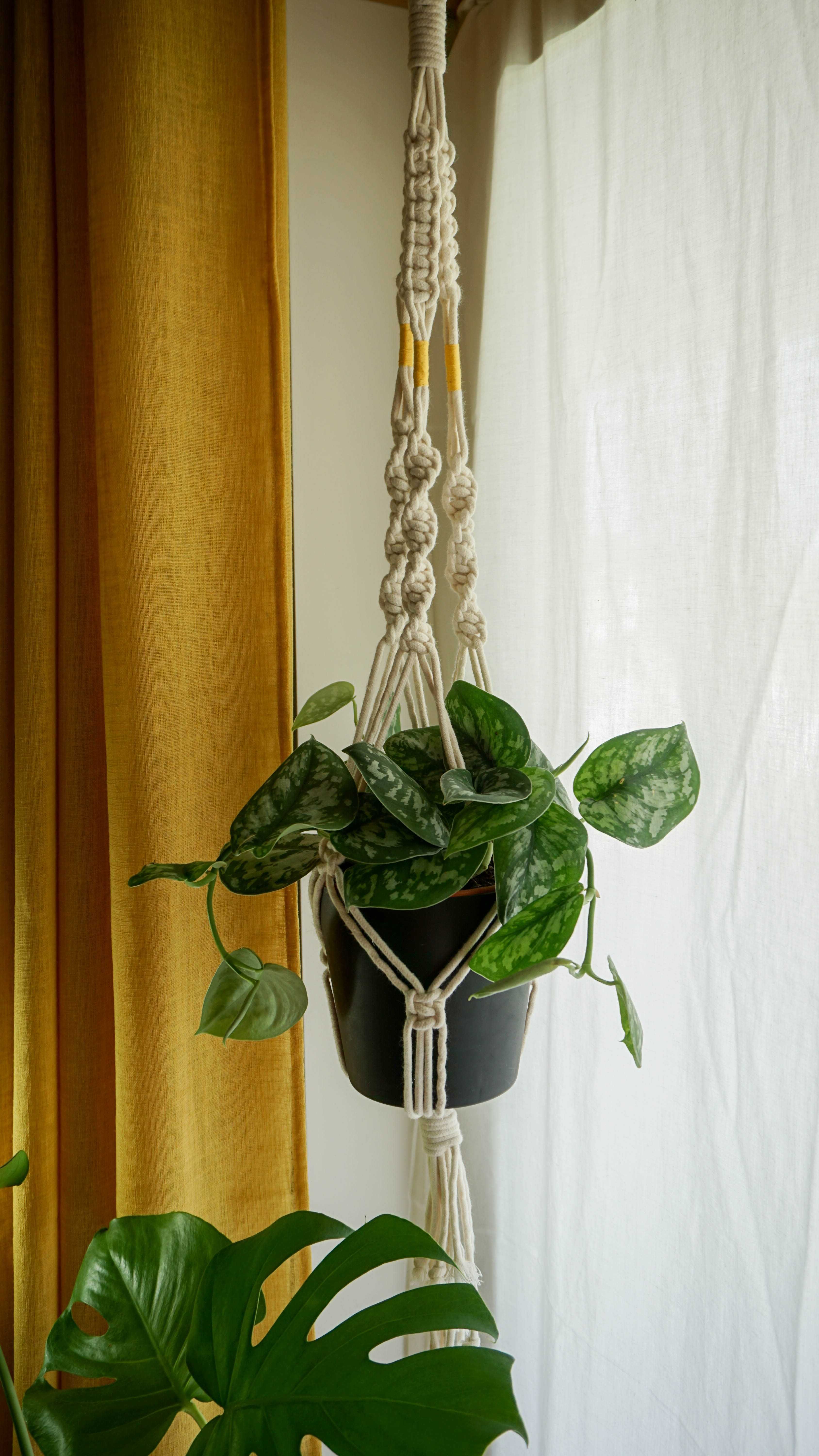 Suporte para vasos/plantas em macramé