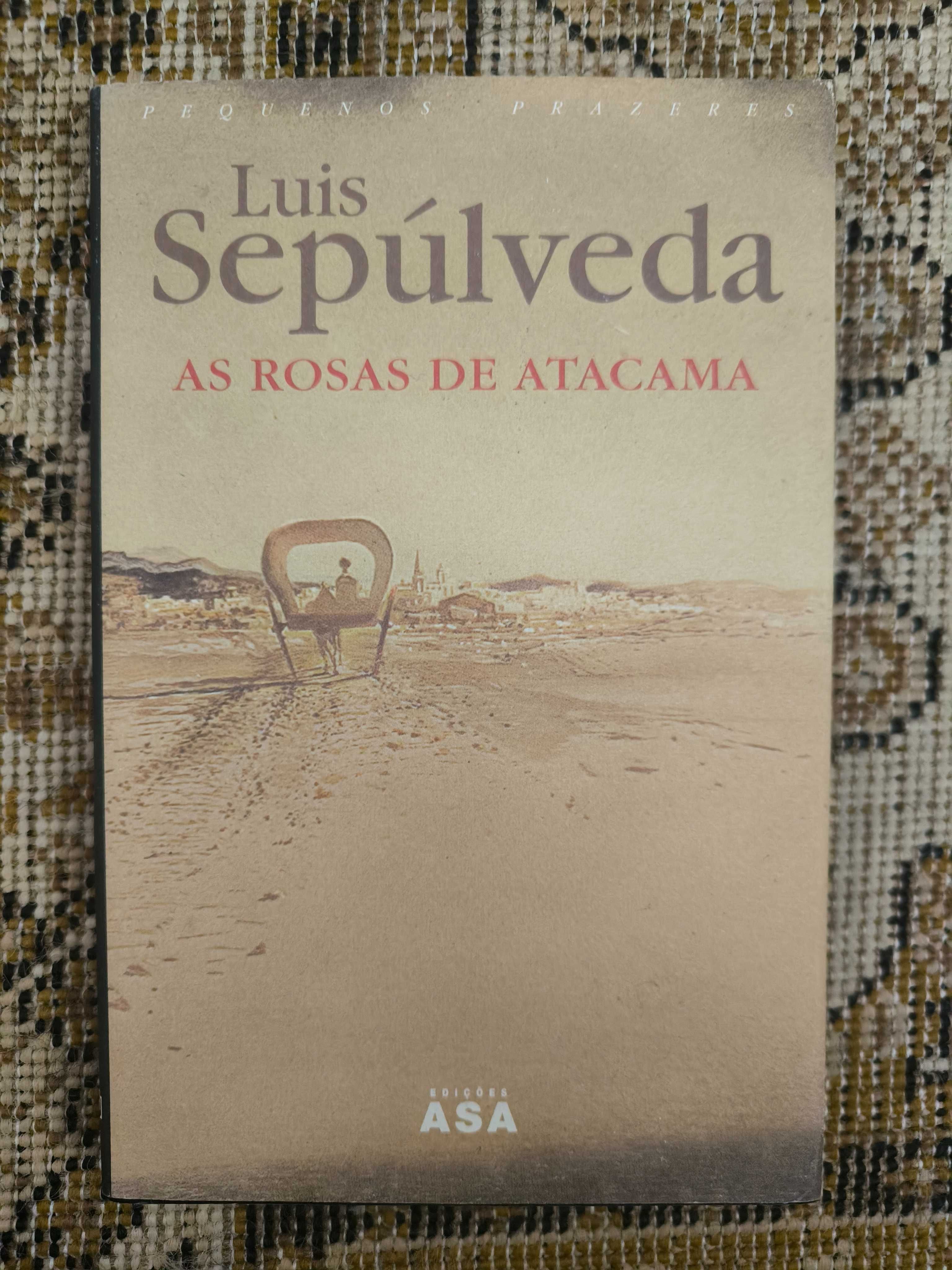 As Rosas de Atacama