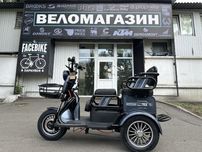 Електричний трицикл Corso PROTEX (1000Вт, 72В, 23 Аг) 10" фіолетовий