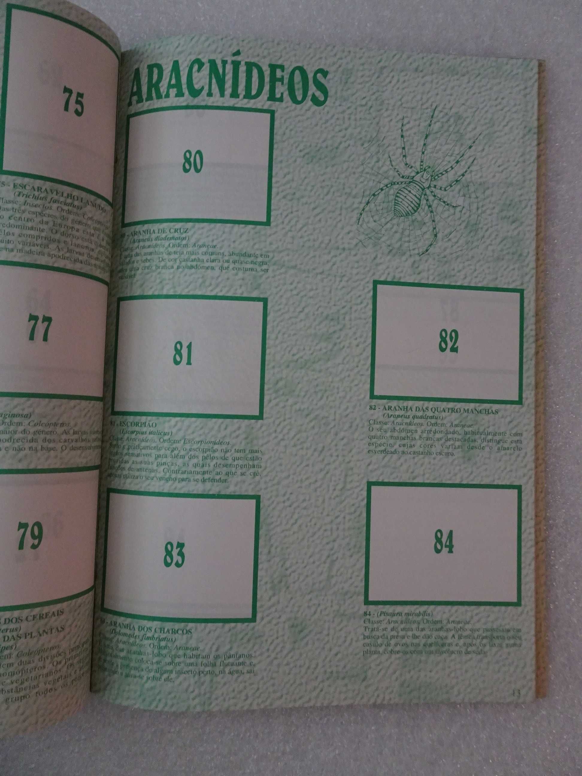 Caderneta de cromos vazia O Mundo Maravilhoso dos pequenos seres
