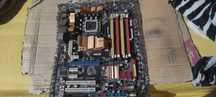ASUS P5QC Motherboard