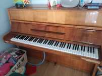 Pianino Calisia * do nauki * PROMOCJA