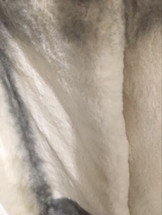 Зимова довга нова