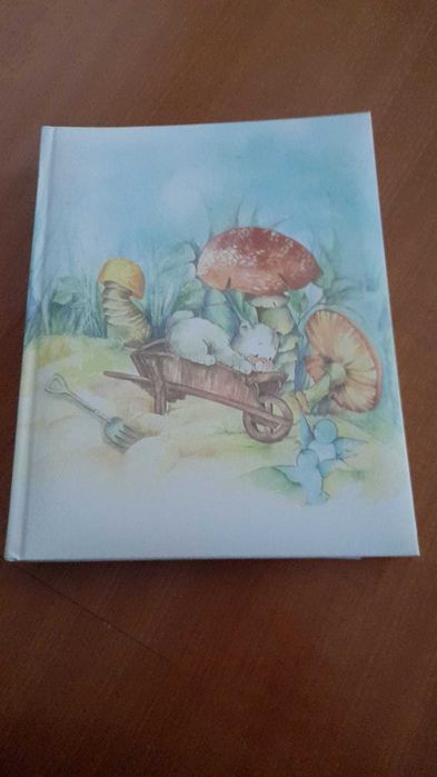 Álbum de Fotos Novo