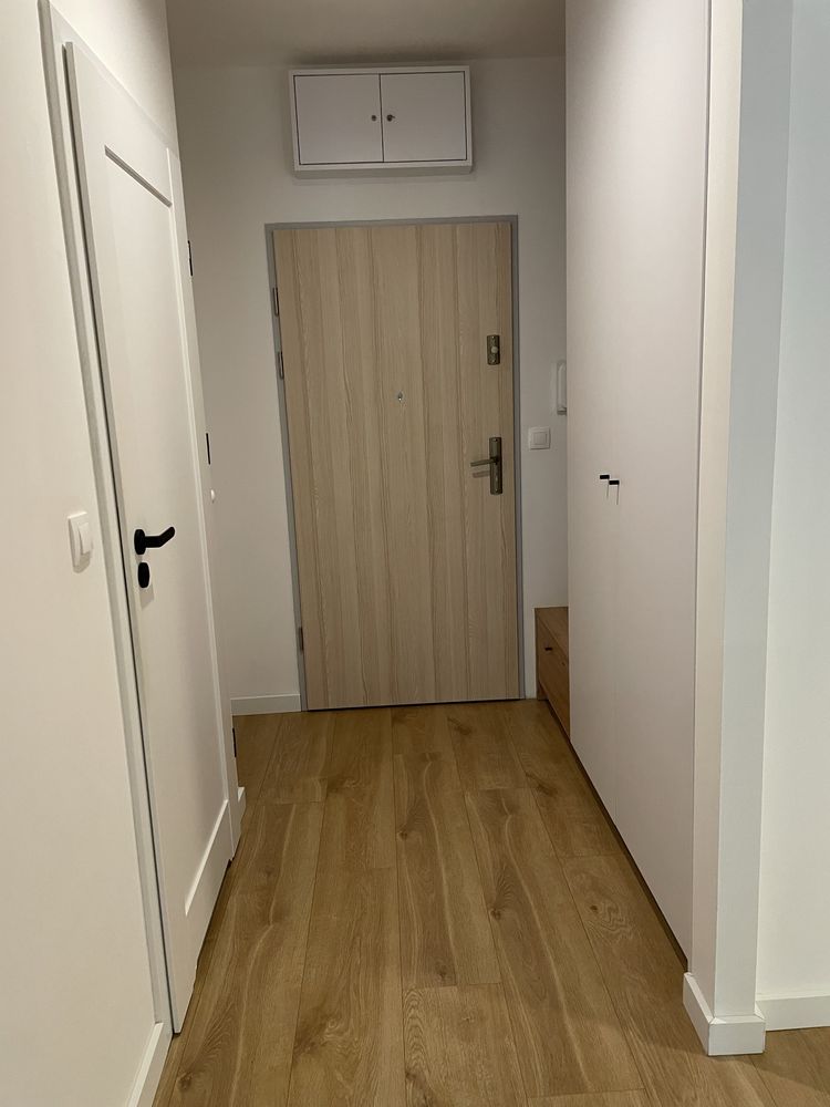 Nowe umeblowane mieszkanie na wynajem Poznan ul.Firlika, dwa pokoje