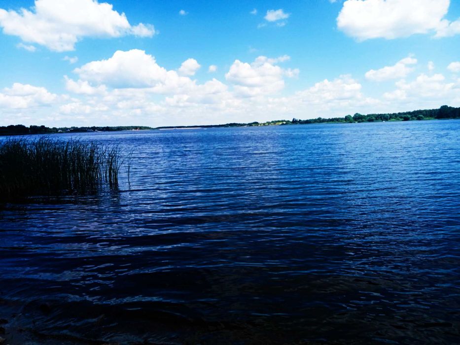 Działka budowlana 8000 m 55 km od Warszawy !!!