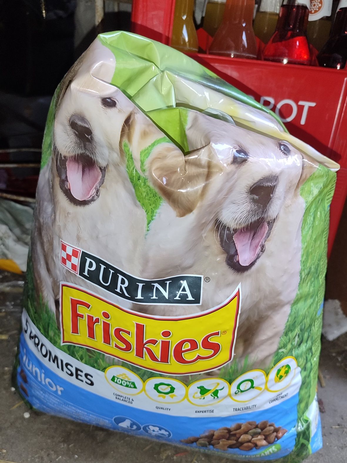 Karma dla szczeniaków Friskies 9,26 kg