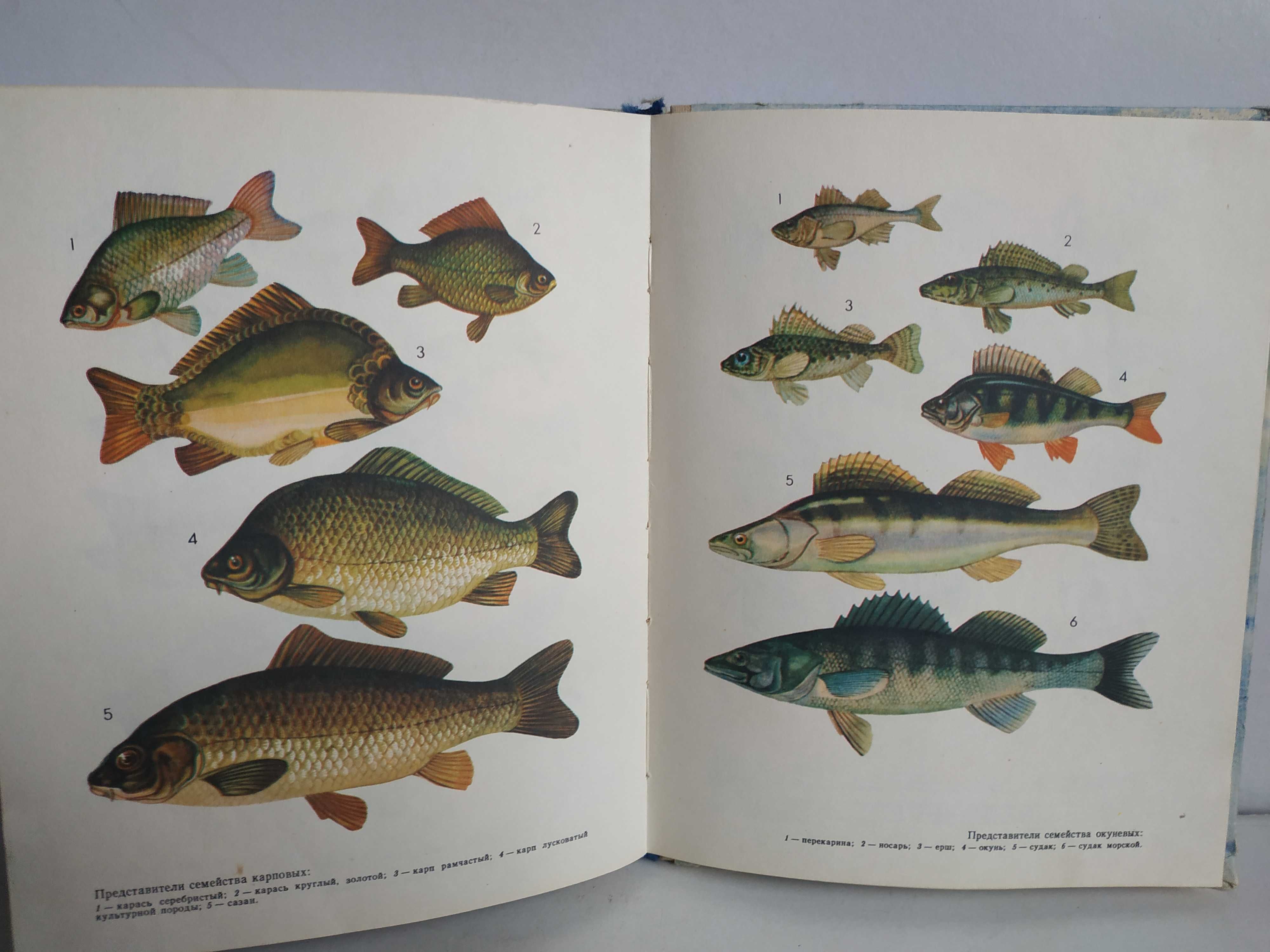 Рыбалка. Разные книги о рыбалке.