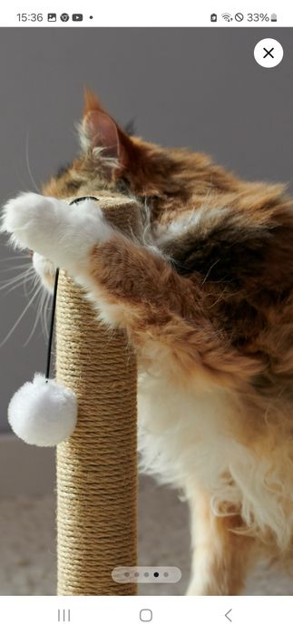 Кігтеточка для улюблених кошенят