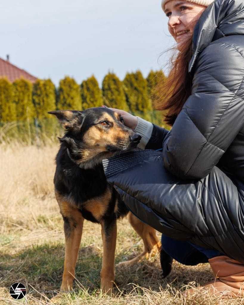 Przekochana Mika ma 2 lata i czeka na dom