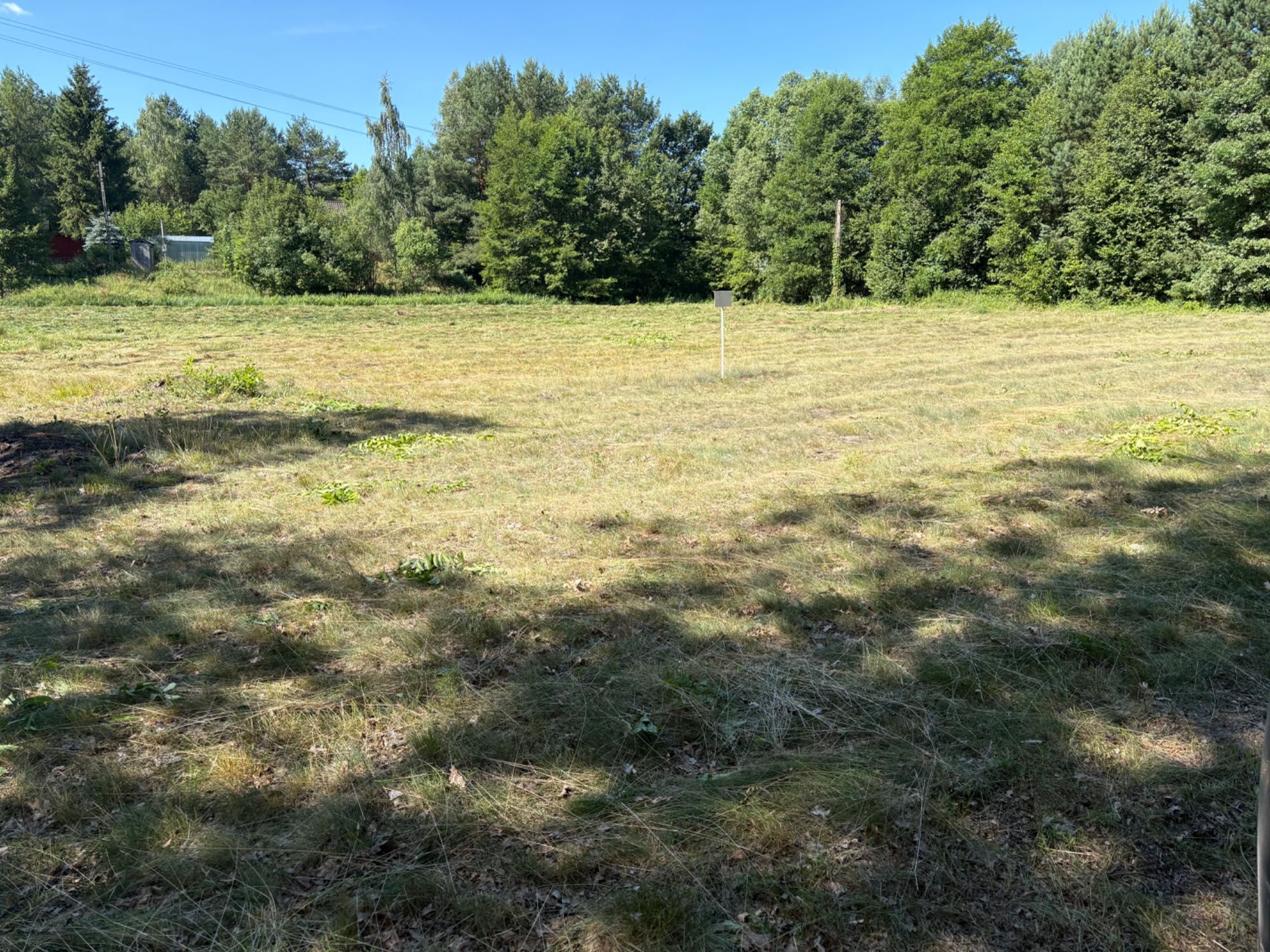 Działka budowlana 6500 m2 Arciechów 130 zł/m2