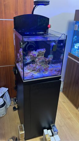 Akwarium morskie 80l+szafka