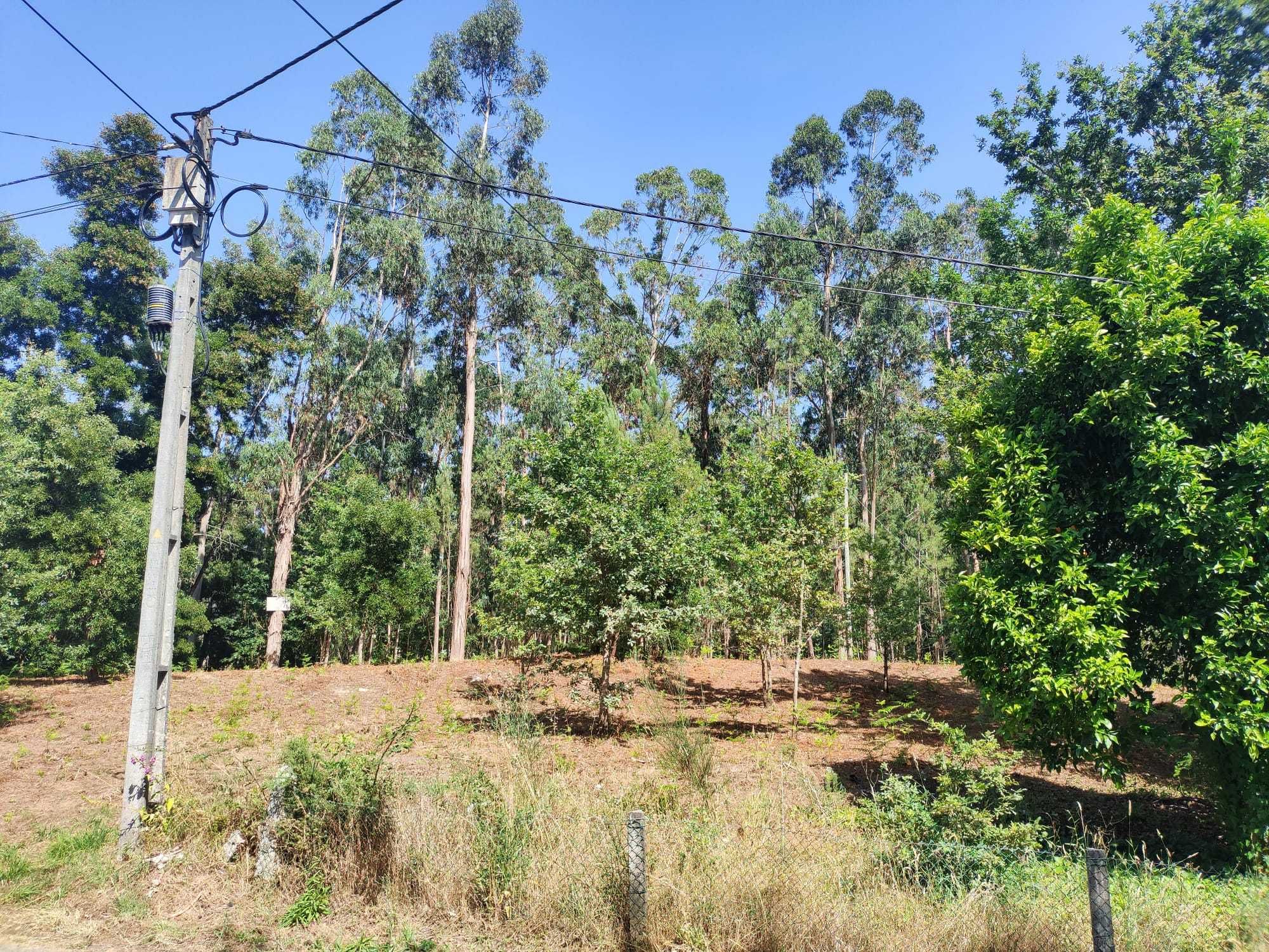 Vende-se terreno em Sabadim (Arcos de Valdevez - Viana do Castelo)