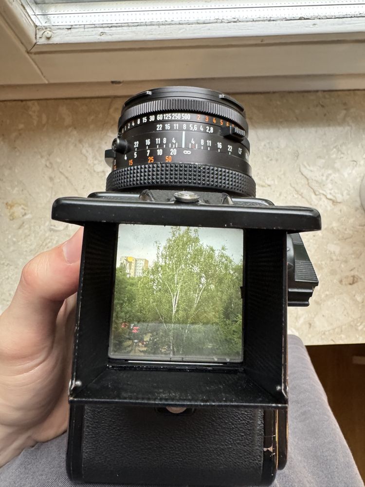 Hasselblad 500 C/M + Planar 80/2.8 CF Acute Matte + extension tube 16