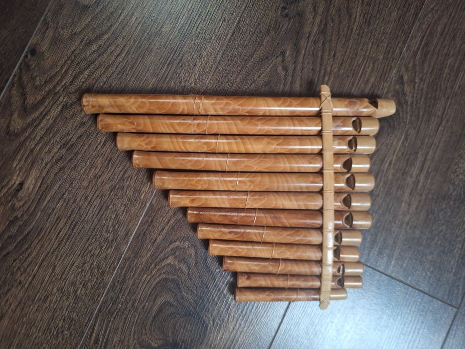 Instrument fletnia pana