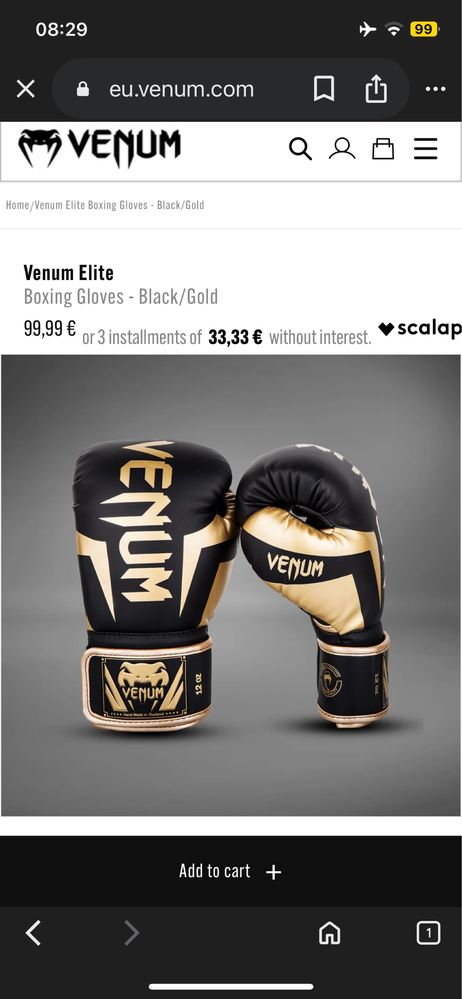 Luvas de Boxe Venum Elite Preto/Dourado + Ligaduras