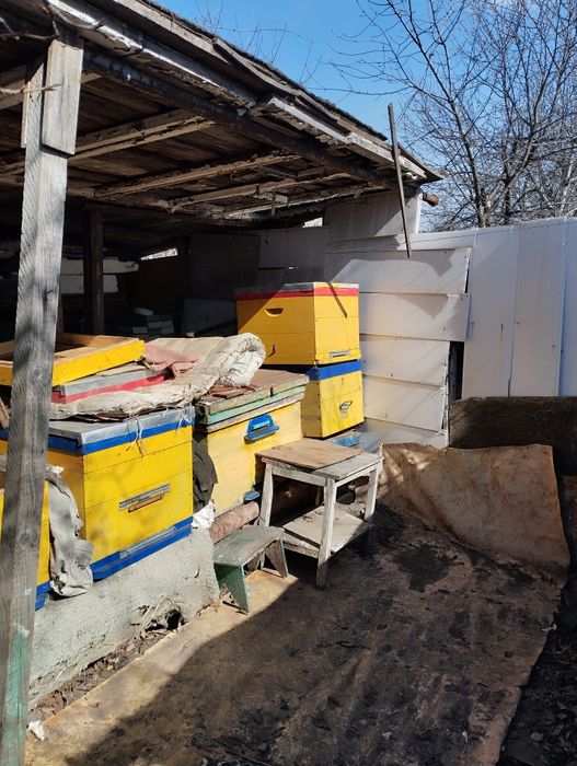 Улья, медогонка, рамки