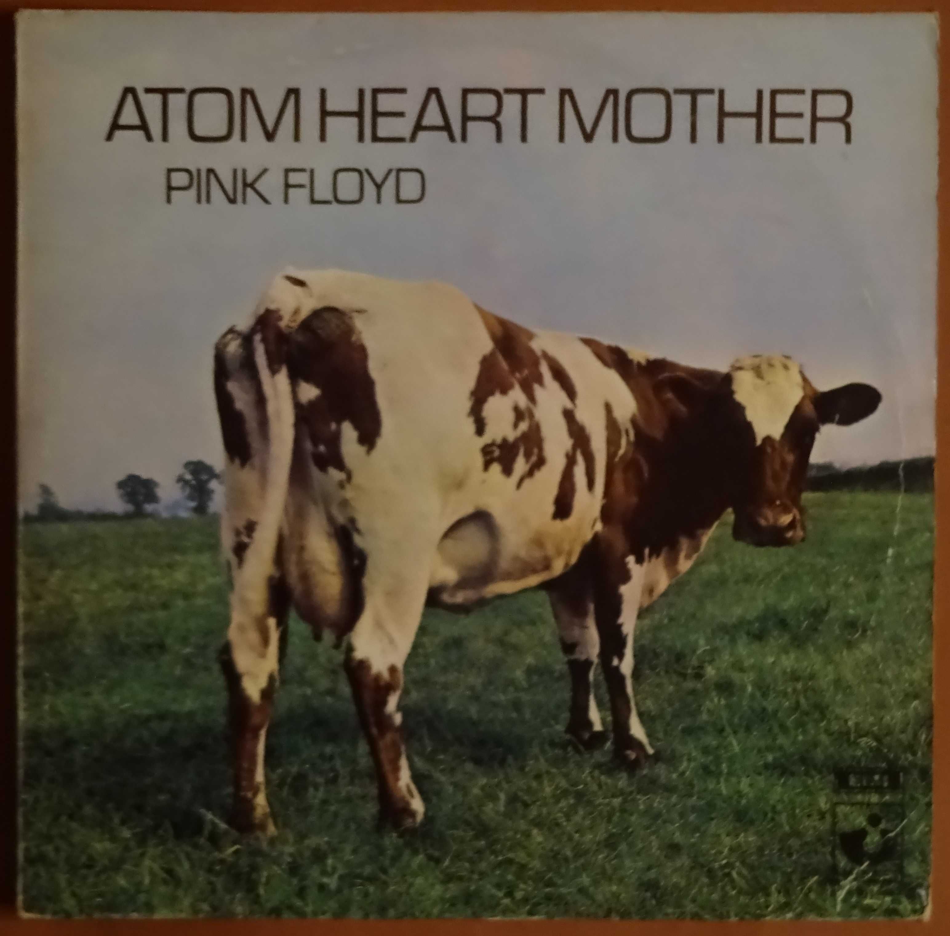 Discos de vinil usados - Pink Floyd, Doors, Beatles, J Hendrix, etc.