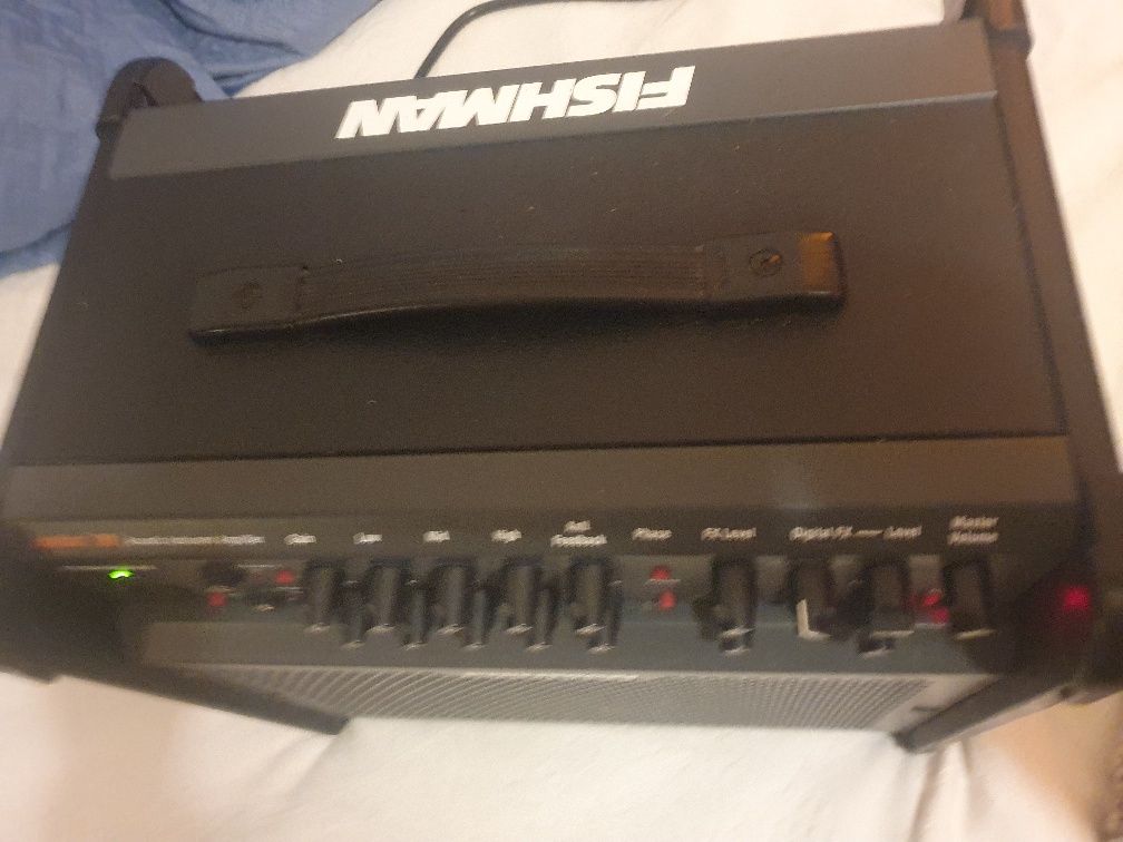 Fishman Loudbox 100