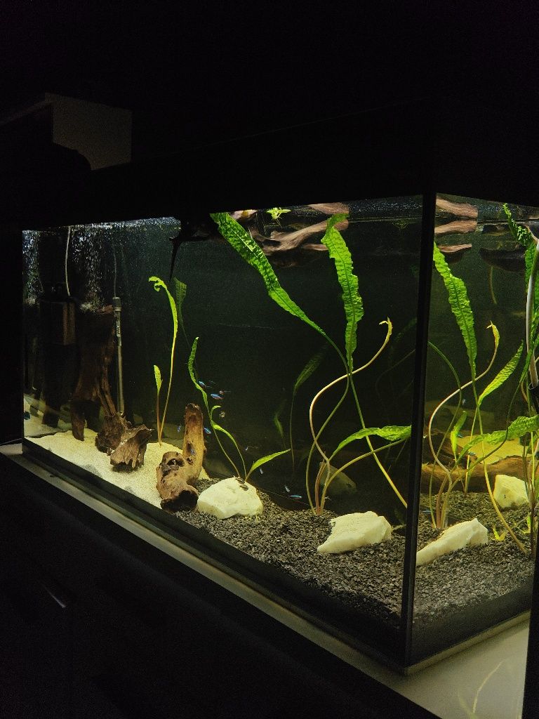 Aquael glossy 260l wraz z osprzętem w