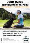 Behawiorysta konsultacje behawioralne psów zoopsycholog spacery porady