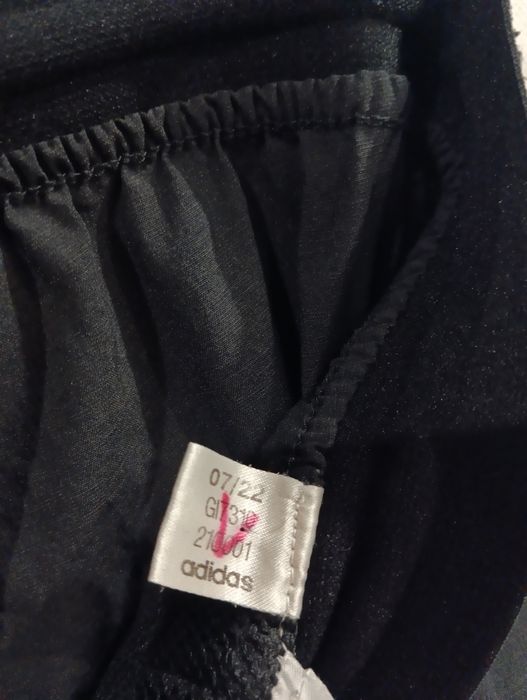 Спортивные штаны Adidas Terrex Liteflex