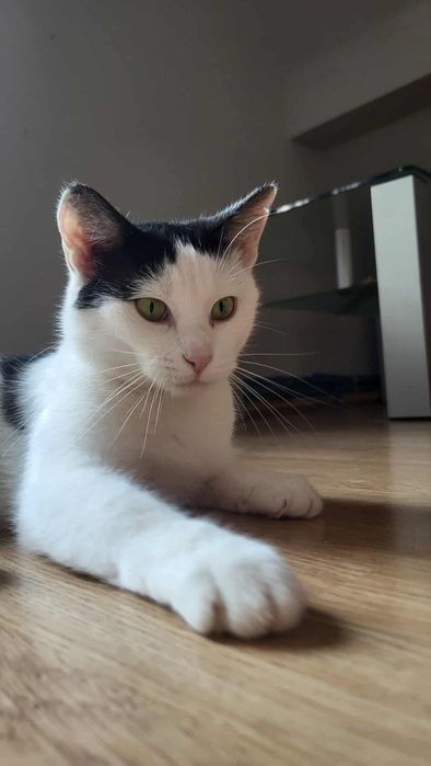 ROXY & BETSI - dwie siostry, jedno serce, wspólne marzenie o domu